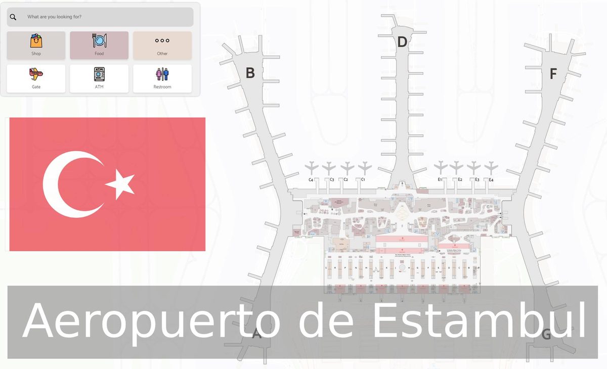 El aeropuerto de Estambul (IST)